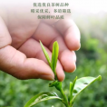 祁野黄山毛峰2026新茶特级安徽浓香春茶茶叶自己喝云雾绿茶毛尖