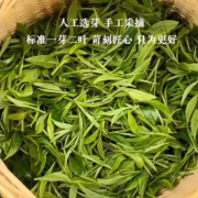 福利款新茶高山绿茶春茶浓香耐泡装碧螺春250g茶叶手工炒作