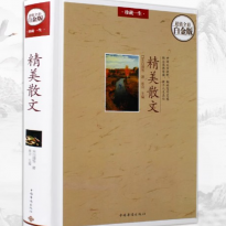 精美散文随笔正版散文集书籍名家经典余光中鲁迅冰心朱自清汪曾祺三毛毕淑敏季羡林沈从文贾平凹林清玄的散文作品精选文学名家作品