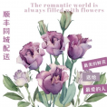 情人节送男友暗黑玫瑰掌混搭郁金香重庆鲜花朋友闺蜜生日祝福